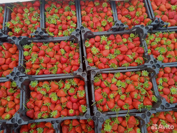 Доставка до двери фруктов, овощей, орехов, ягод