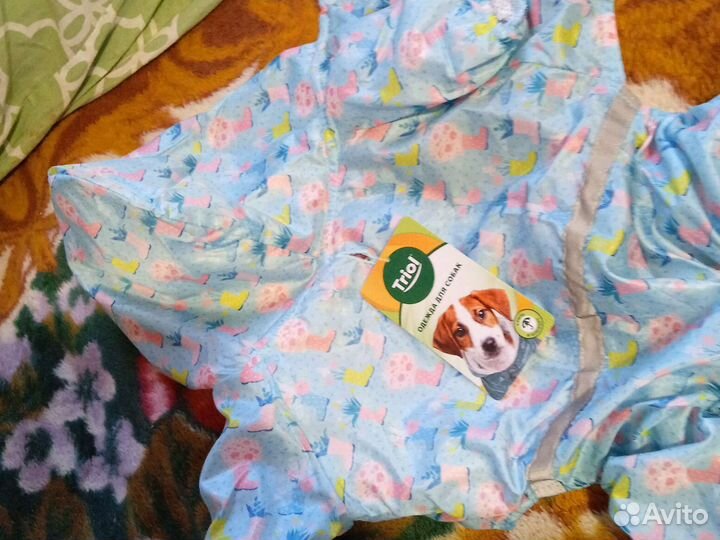 Дождевик для маленькой собаки