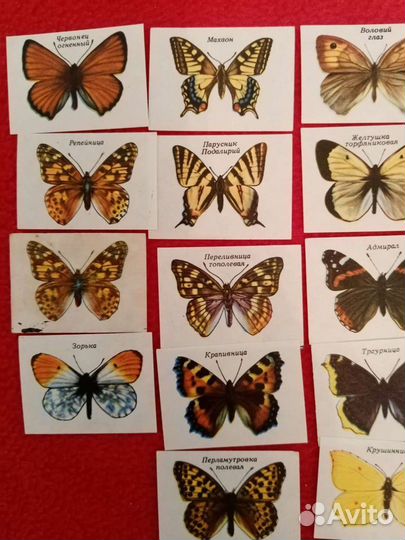 Спичечные этикетки. Бабочки