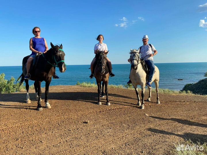 Конные прогулки