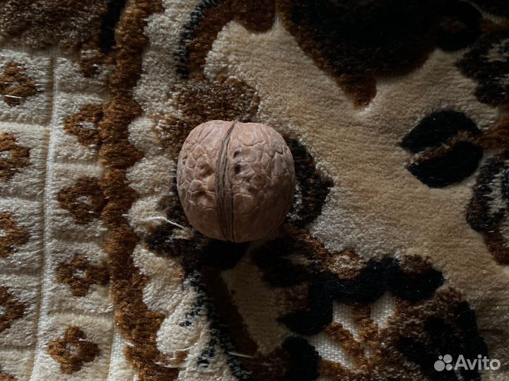 Орех грецкий