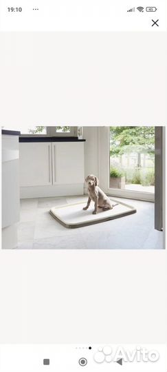 Лоток для собак под пеленку