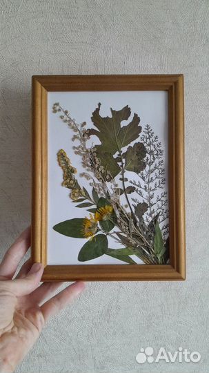 Интерьерная картина - гербарий из трав и цветов