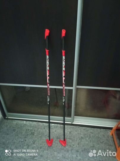 Лыжные палки