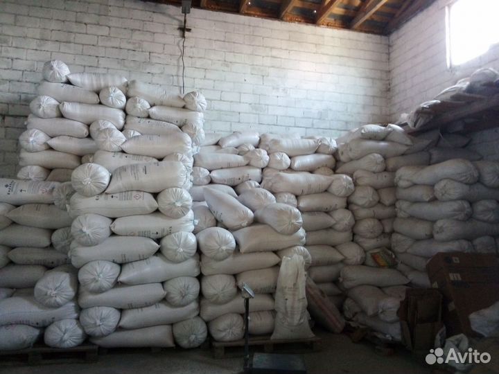 Продаю зерно