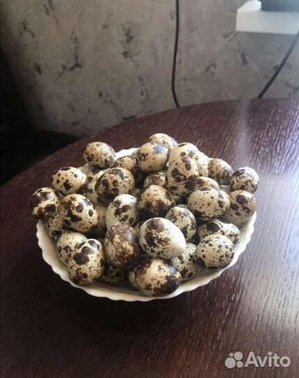 Яйца перепелиные