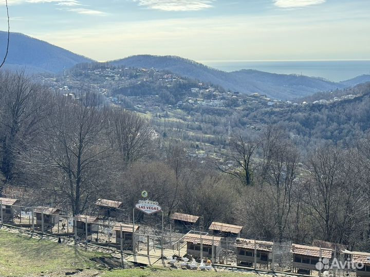 Экскурсия Красная Поляна