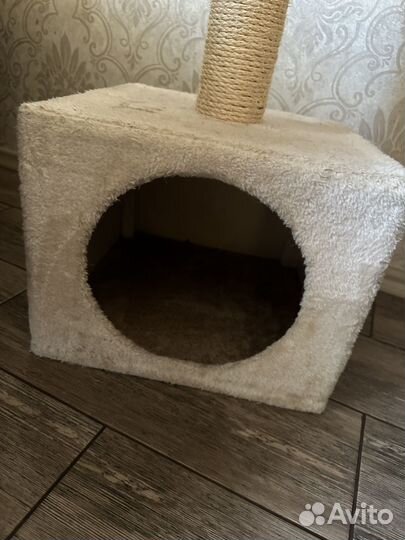 Когтеточка домик для кошки бу