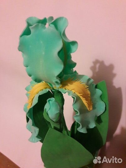 Ирис в горшке