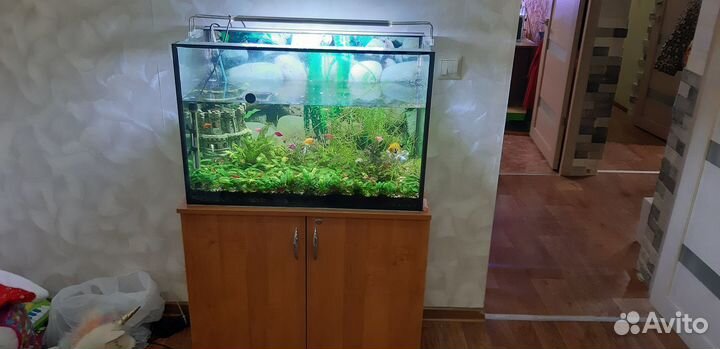 Аквариум
