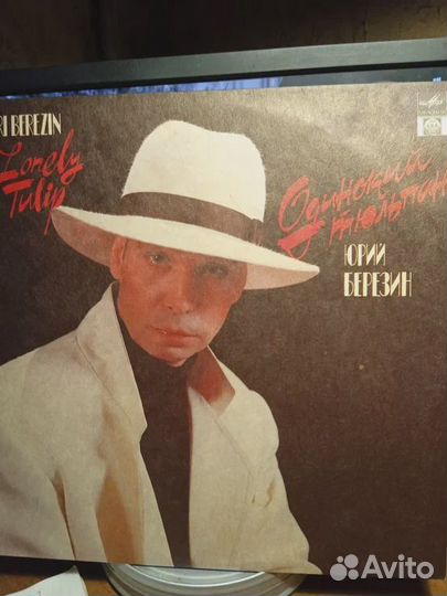 Виктор Березин. Одинокий тюльпан