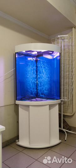 Аквариум 200 свет биофильтр фон подставка