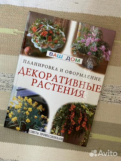 Декоративные растения. Планировка и оформление