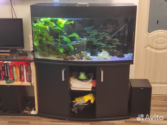 Аквариум