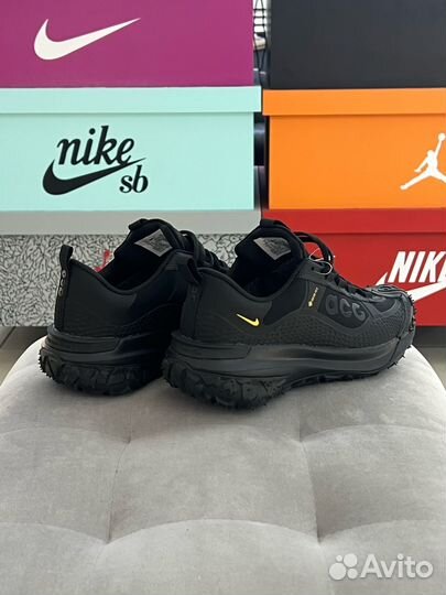 Кроссовки Nike ACG Mountain Fly 2 Low