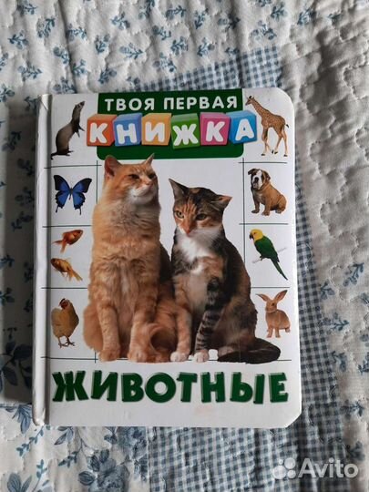 Книга для самых маленьких