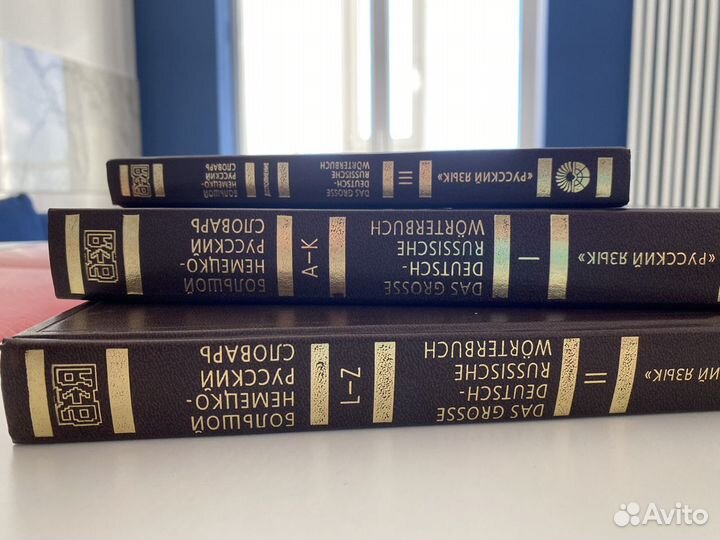 Большой немецко-русский словарь