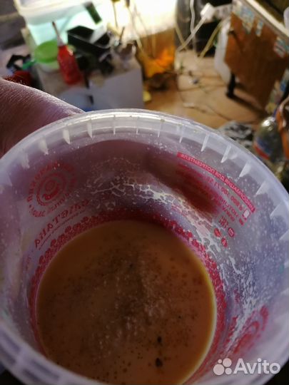 Аквариумные рыбки