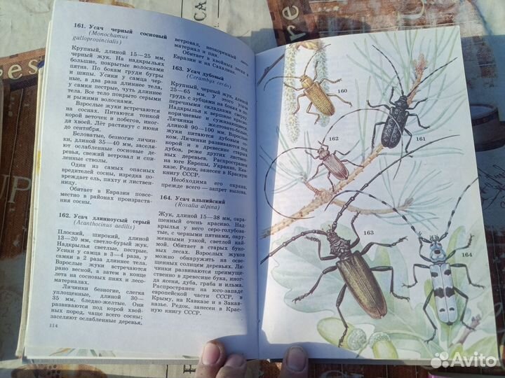 Школьный атлас - определитель беспозвоночных