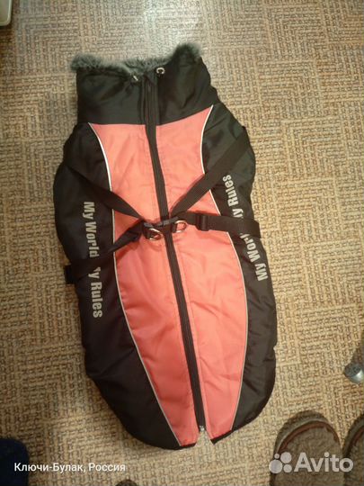 Одежда для средних собак