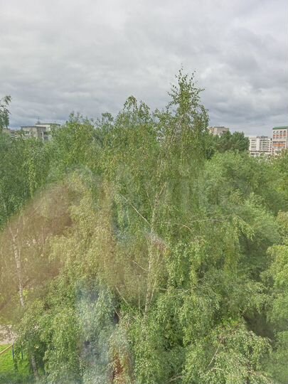 1-к. квартира, 16,7 м², 8/9 эт.