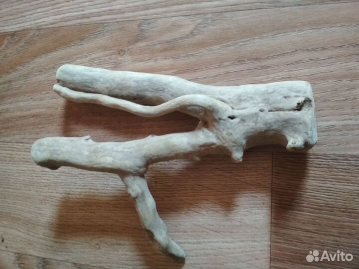 Коряги дрифтвуд