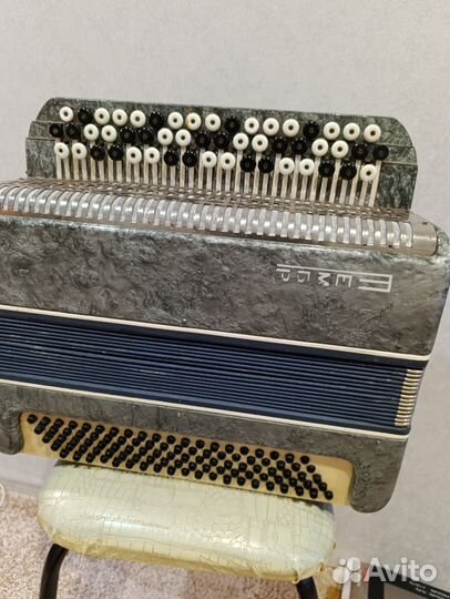 Баяны продажа