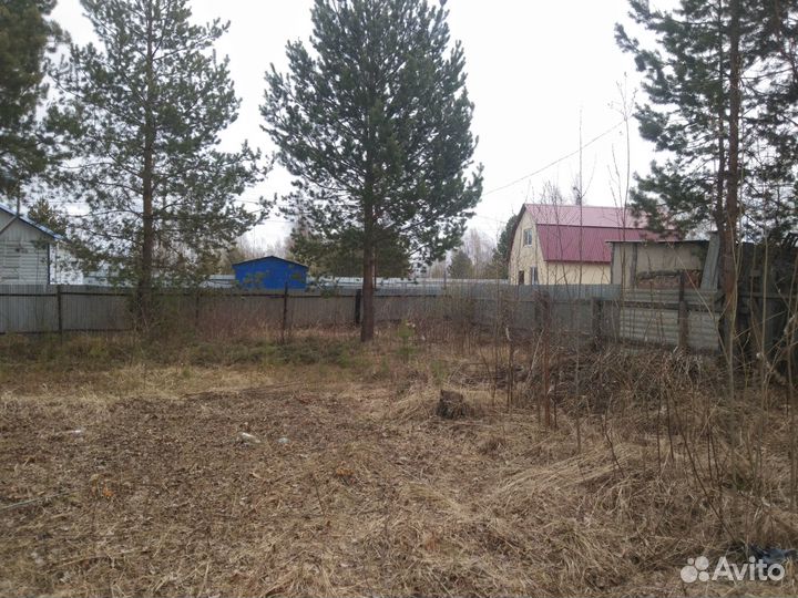 Приму грунт