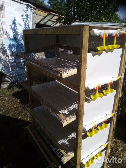 Изготовление клеток для перепелов, циплят