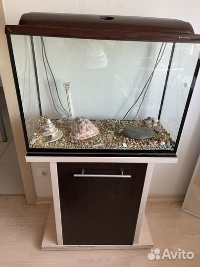 Аквариум с тумбой бу (неотделимы)