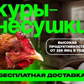 Несушки с доставкой