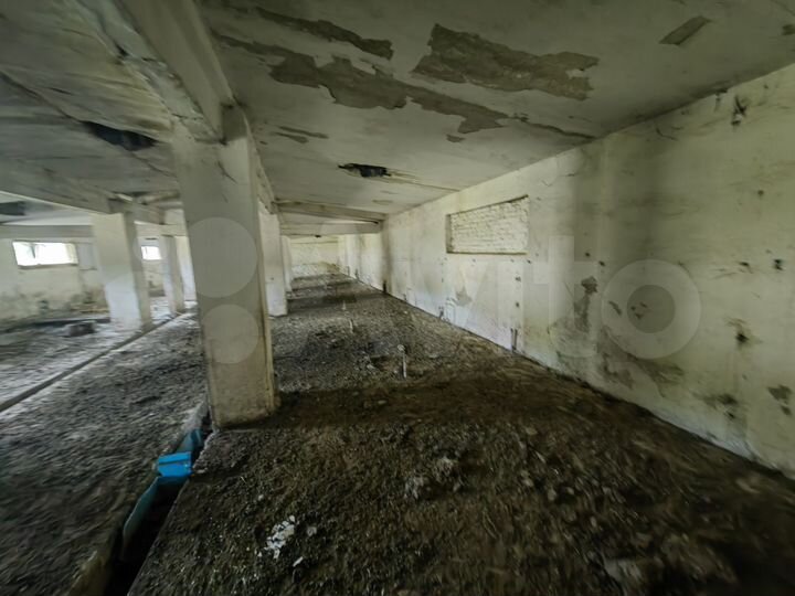 Участок 55 сот. (промназначения)