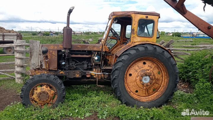 Трактор ЛТЗ Т-40, 2024