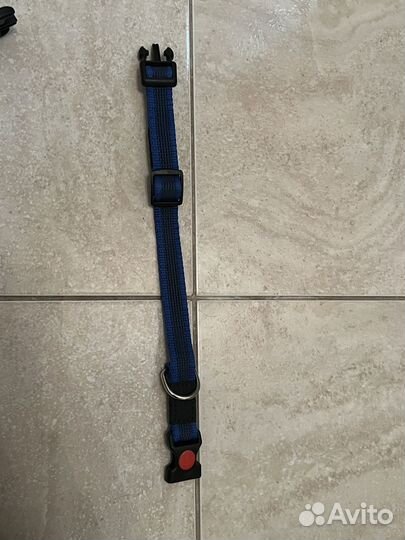 Амуниция для собак