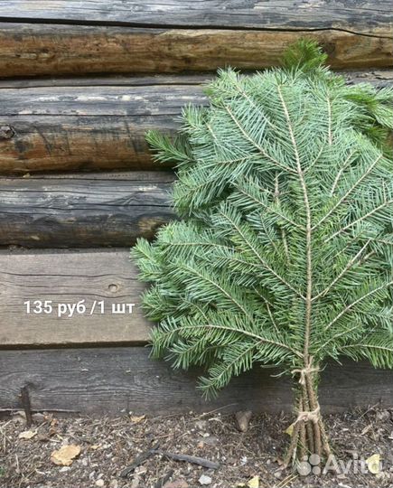 Веники для бани пихтовые (и многое другое)