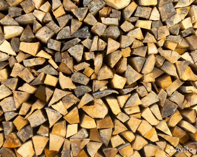 Дрова береза
