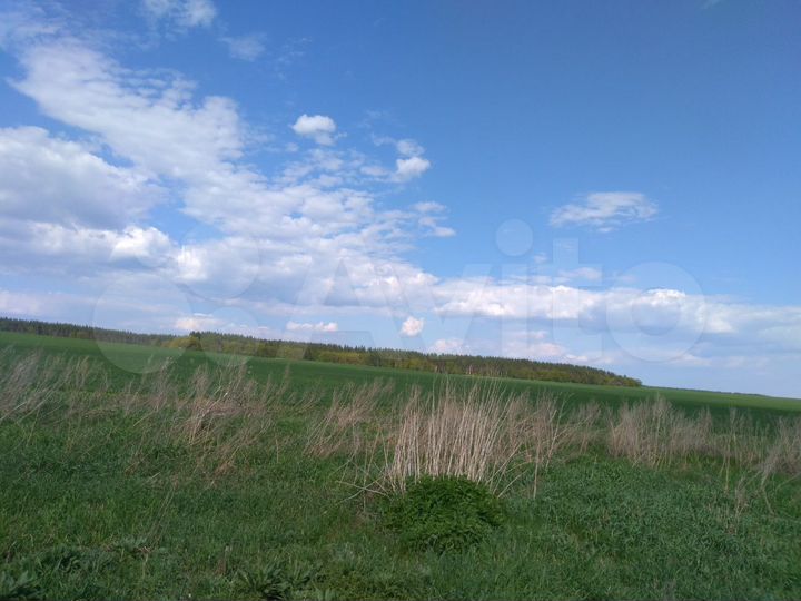 Участок 10 сот. (ИЖС)