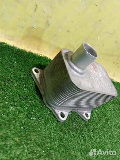 Радиатор масляный Volkswagen Tiguan NF 2011