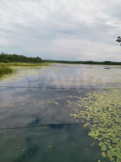 Участок 15 сот. (ИЖС)