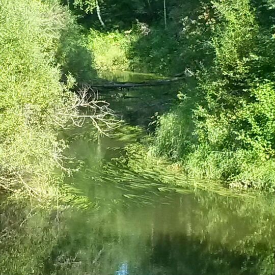 Дом 25 м² на участке 22 сот.