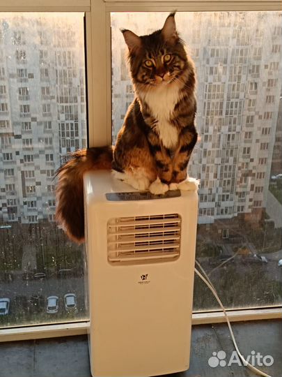 Продается напольный кондиционер Royal Clima