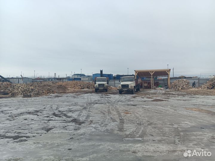 Дрова с доставкой бортовой машиной от 6м3