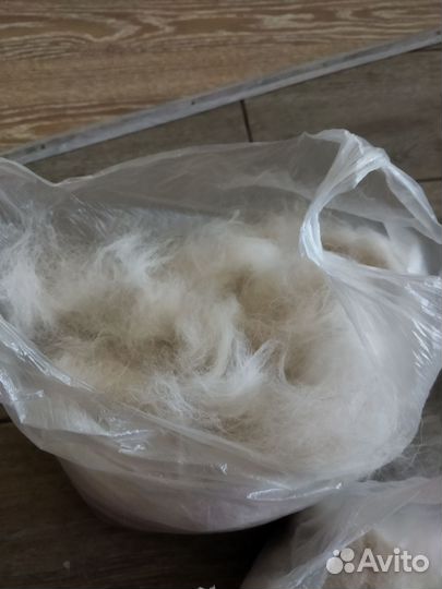 Собачья шерсть пух