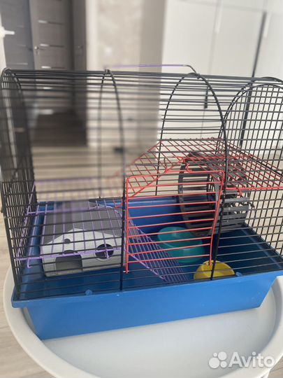 Клетка для грызунов бу