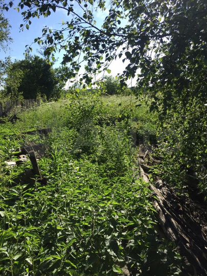 Участок 43 сот. (ИЖС)