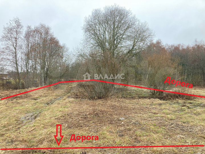 Участок 18,6 сот. (ИЖС)