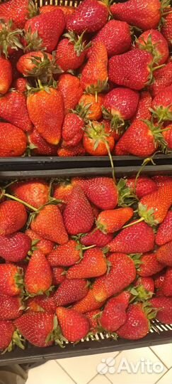 Клубника Азербайджан