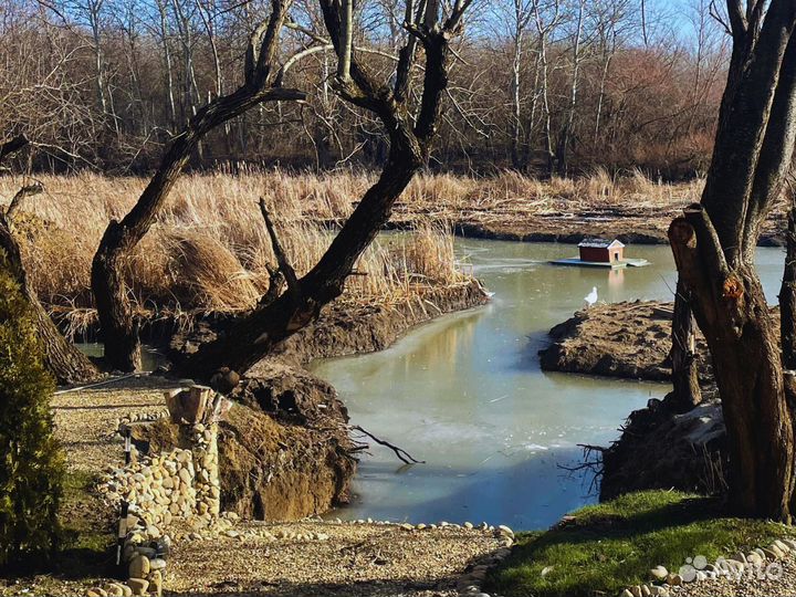 Ищу инвестора в свой бизнес. Пассивный доход