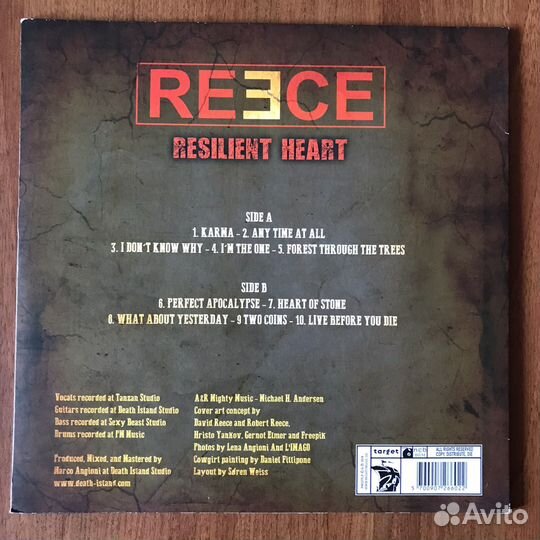 LP David Reece - resilient heart