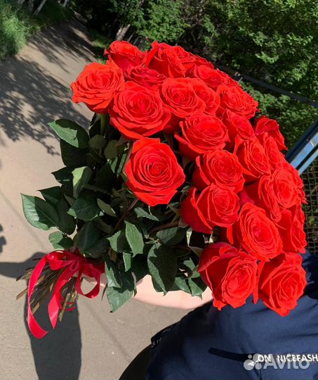 Роза Эквадор